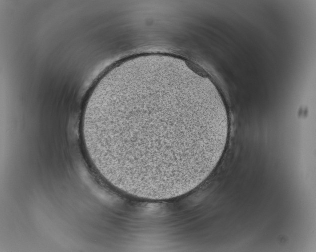 X0000110940060200907311026