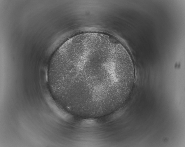 X0000110940061200907311026