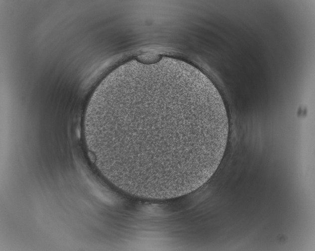 X0000110940062200907311026