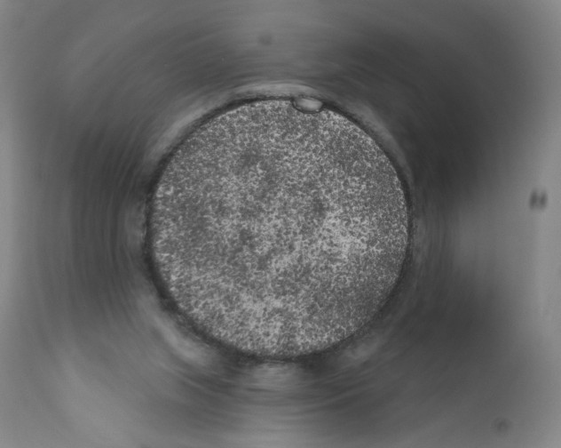 X0000110940063200907311026