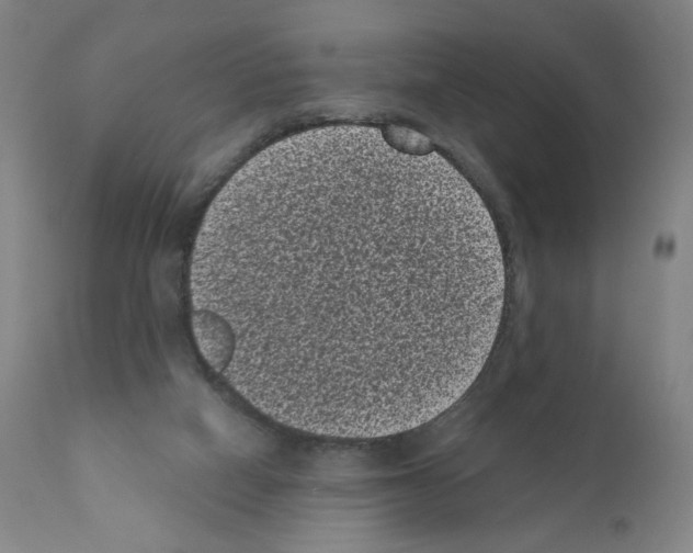 X0000110940066200907311026