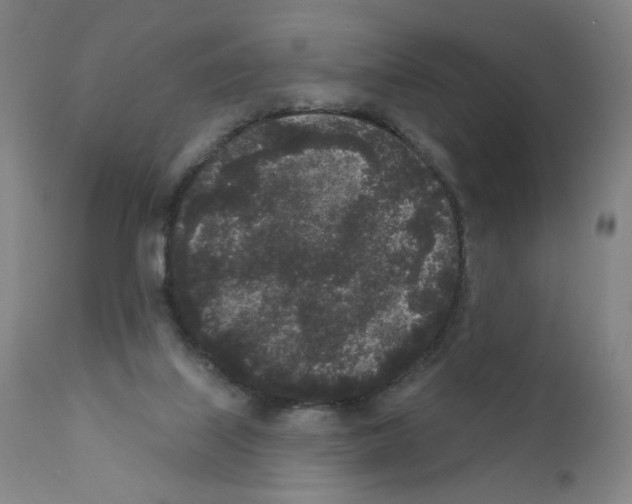X0000110940067200907311026