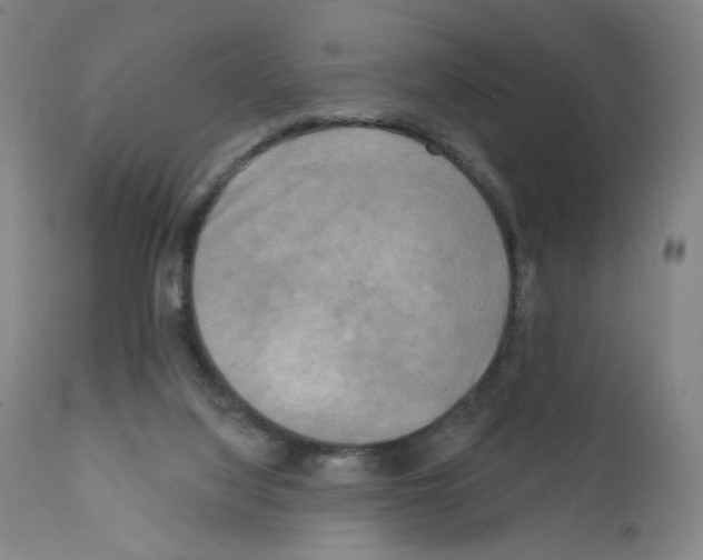 X0000110940068200907311026