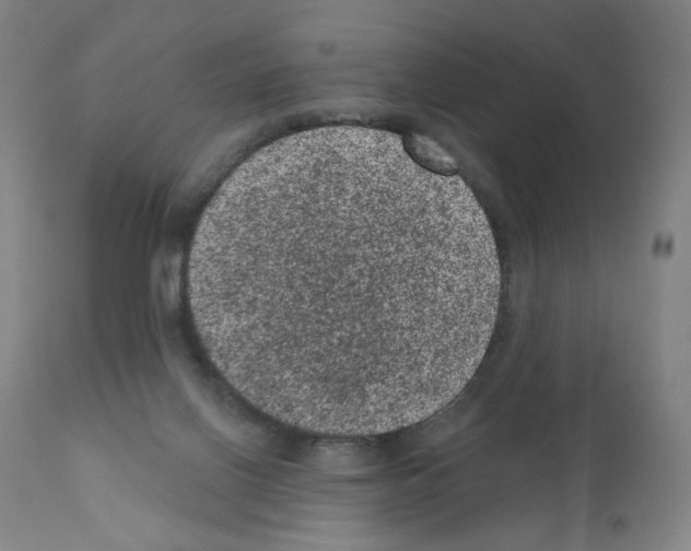 X0000110940070200907311026