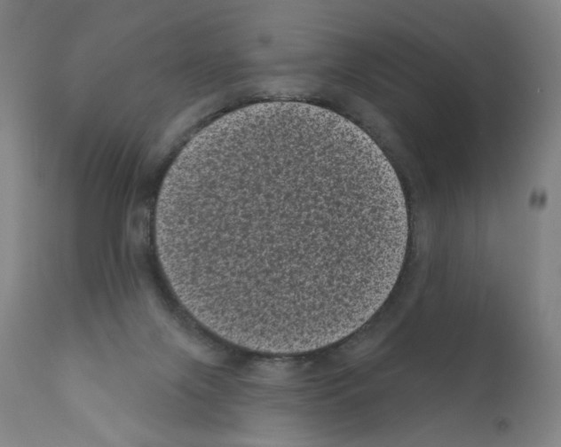 X0000110940071200907311026