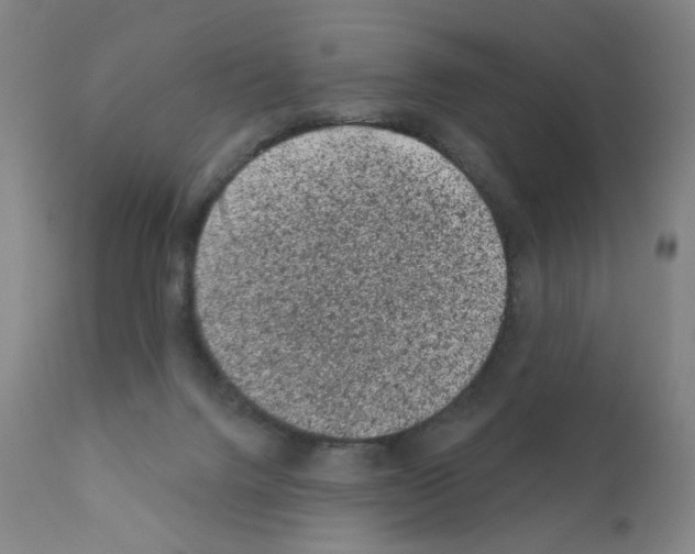 X0000110940072200907311026