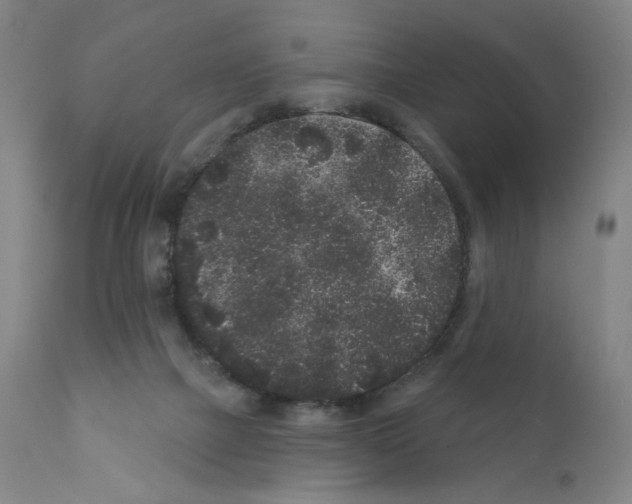X0000110940073200907311026