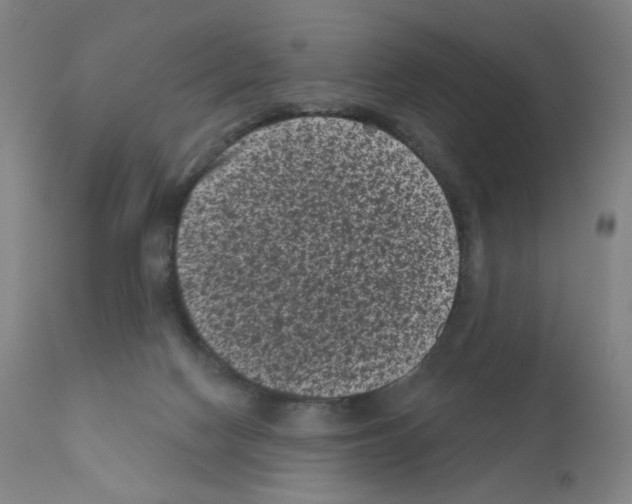 X0000110940074200907311026