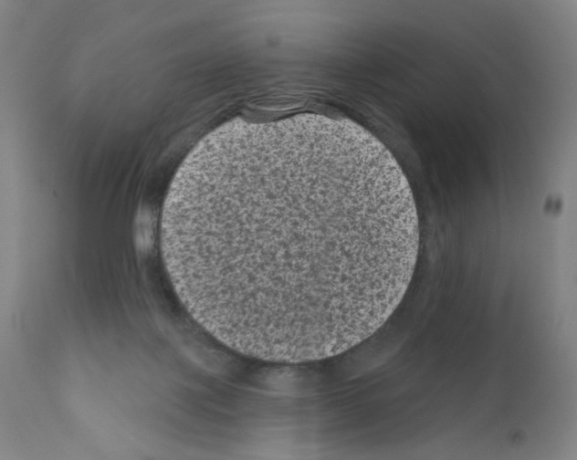 X0000110940075200907311026