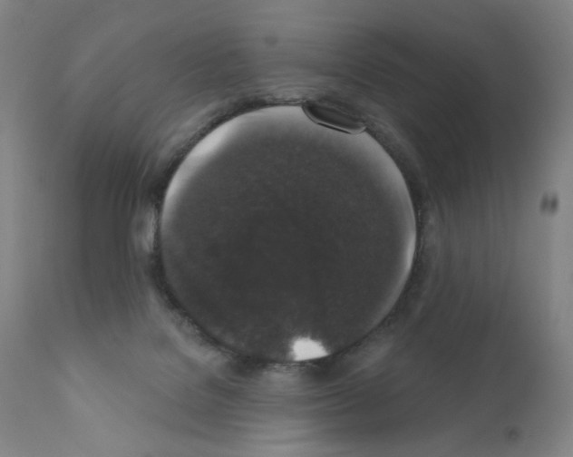 X0000110940076200907311026