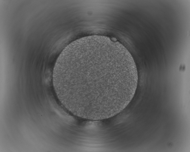 X0000110940077200907311026