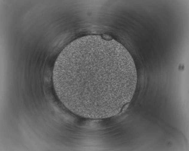 X0000110940078200907311026