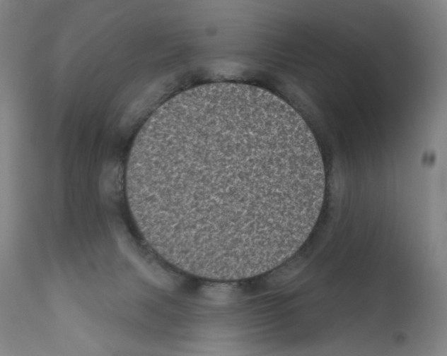 X0000110940079200907311026
