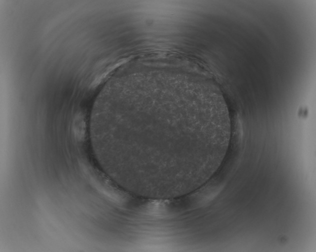 X0000110940080200907311026