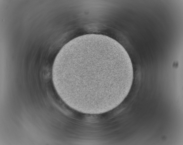 X0000110940081200907311027