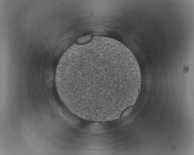 X0000110940082200907311027
