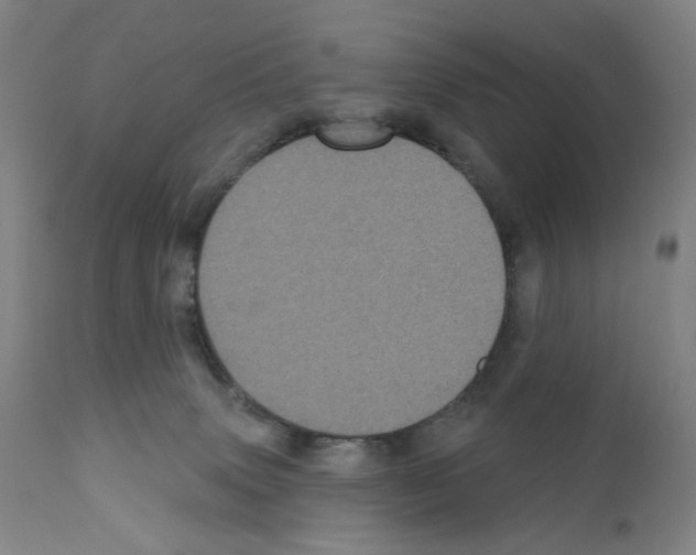 X0000110940083200907311027