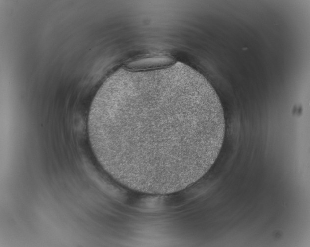 X0000110940084200907311027