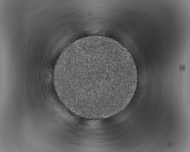 X0000110940085200907311027