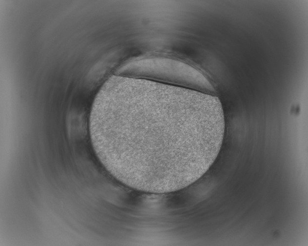X0000110940088200907311027