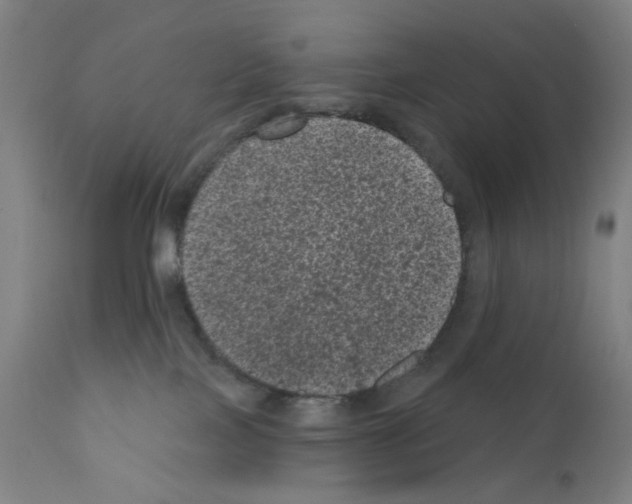 X0000110940089200907311027