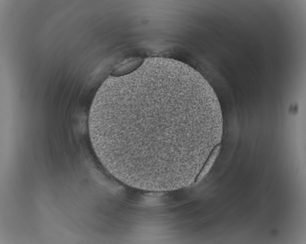 X0000110940090200907311027