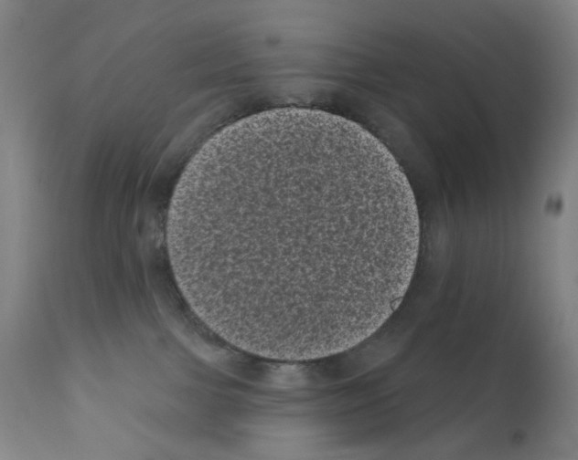 X0000110940091200907311027