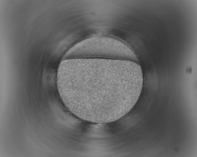 X0000110940092200907311027