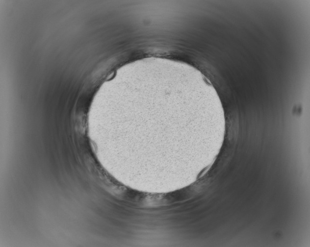 X0000110940093200907311027