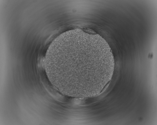 X0000110940094200907311027