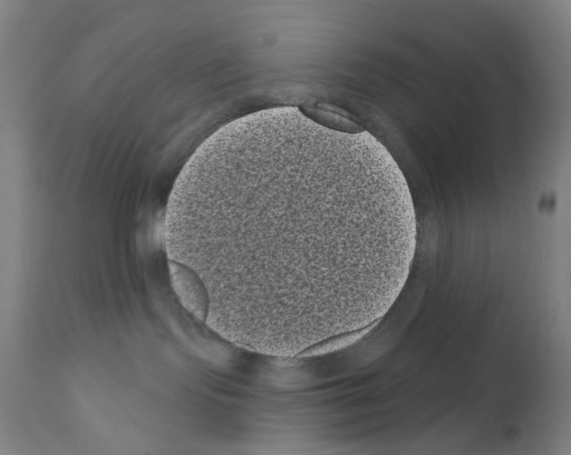 X0000110940095200907311027