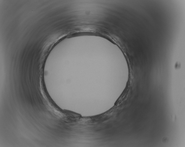 X0000110940097200907311026