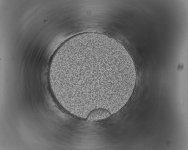 X0000110940098200907311026