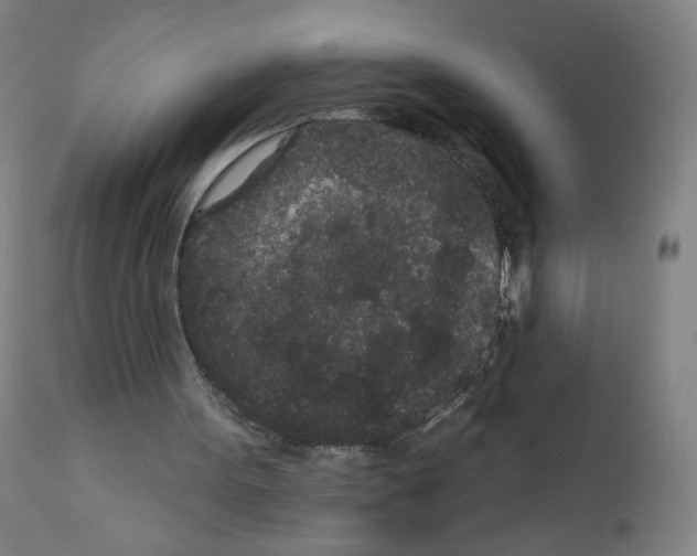 X0000110940099200907311026