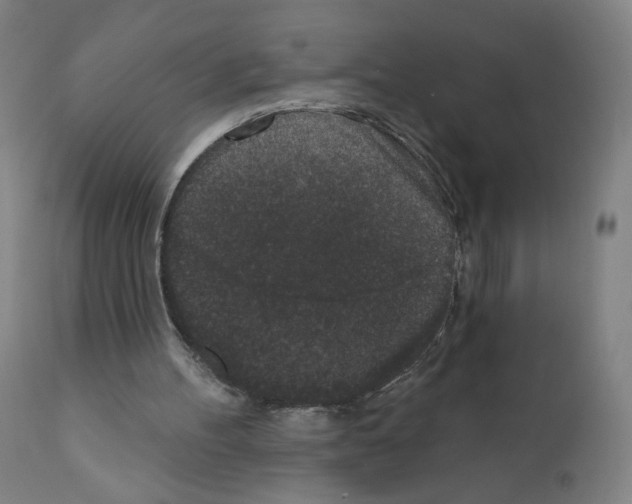 X0000110940100200907311026