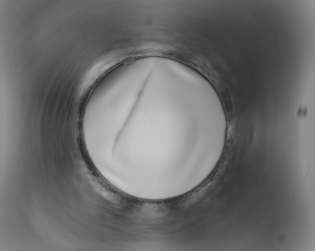 X0000110940101200907311026
