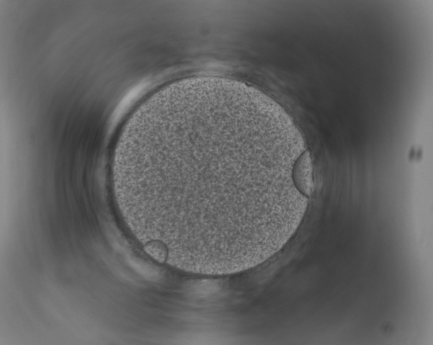 X0000110940102200907311026