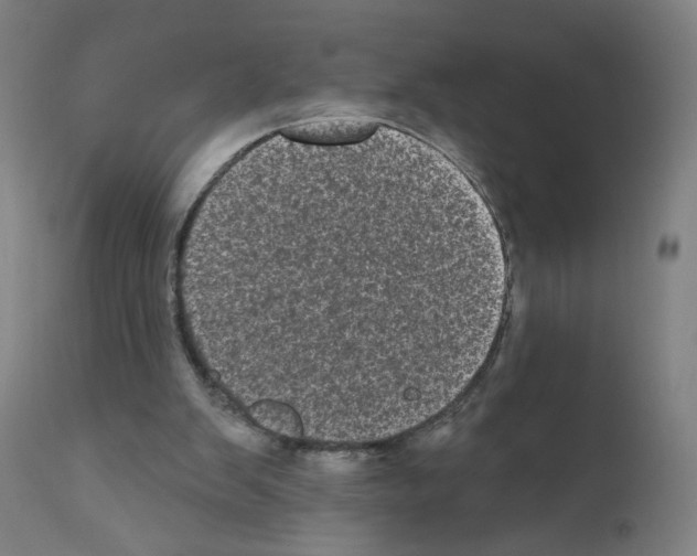 X0000110940103200907311026