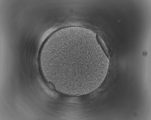X0000110940104200907311026