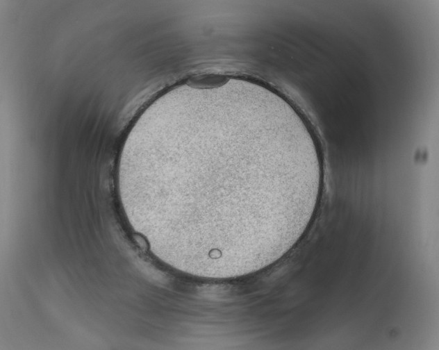 X0000110940105200907311026