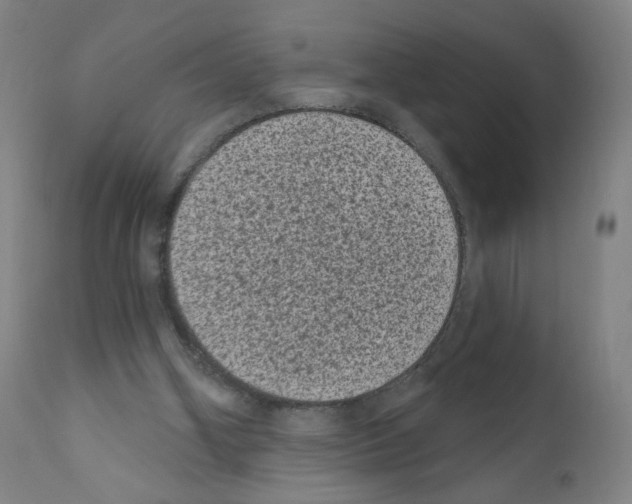 X0000110940106200907311026
