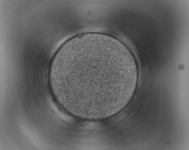 X0000110940107200907311026