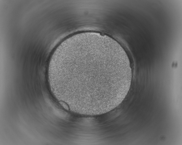 X0000110940108200907311026