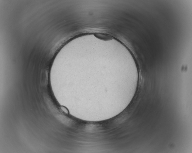 X0000110940109200907311026