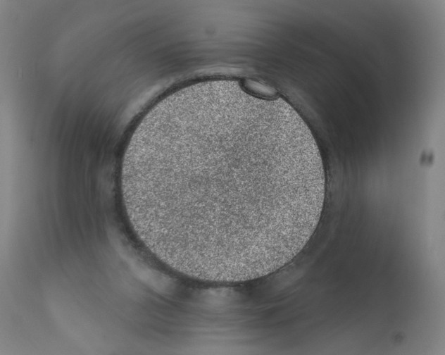X0000110940112200907311026