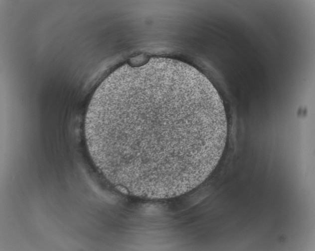 X0000110940115200907311026