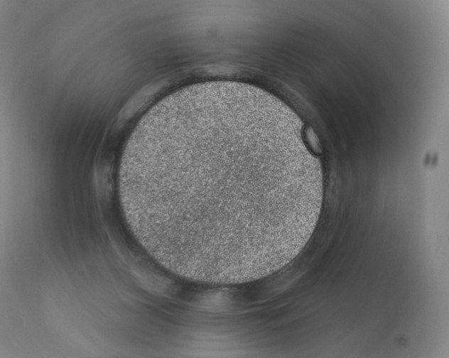 X0000110940116200907311026