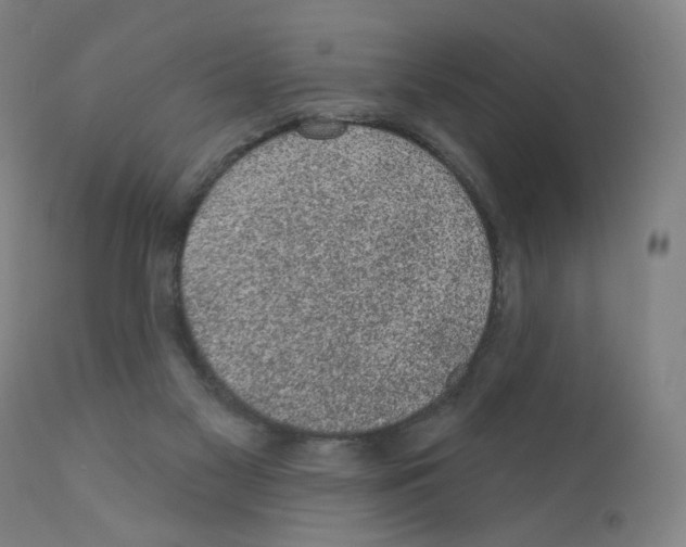 X0000110940117200907311026