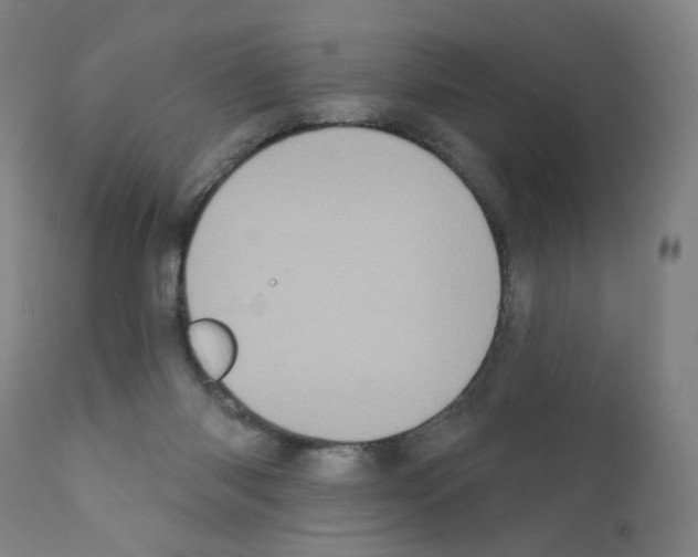 X0000110940118200907311026