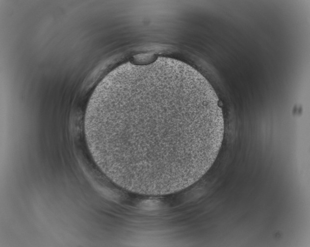 X0000110940119200907311026